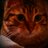 CaptainVicken's profile image