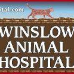 Caring for your pets as if they were our own. Located in Sicklerville, New Jersey. We offer orthopedic surgery, dental, sick and well visits, rehab, acupuncture