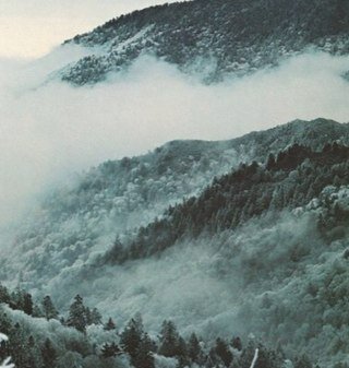 _Alaskagold's profile picture. Lost soul just trying to find the light . ~ canadian.