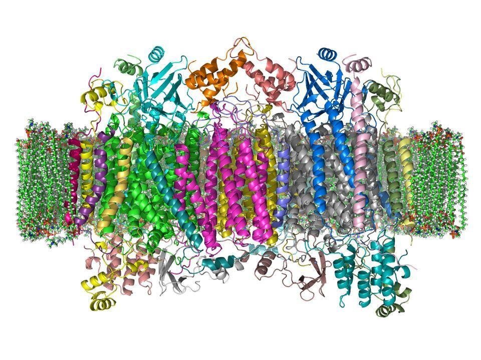 Twitter account for Biochemistry and Molecular Biology in University College Dublin.