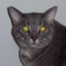 Ken Wali ๐จ๐ฆ (@kenwali1) Twitter profile photo Ken Wali ๐จ๐ฆ (@kenwali1) Twitter profile photo