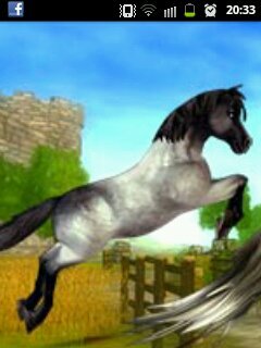 hello i'm spanish so sorry for bad english I love SSO. I'm level 13 I have 2 horses a frisian and the principal
