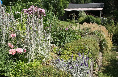 Gartencenter und Gartenmärkte in Berlin: Überzeugen Sie sich selber tel: 030 63900331. Lassen Sie sich von uns professionell rund um Garten&Haus beraten.