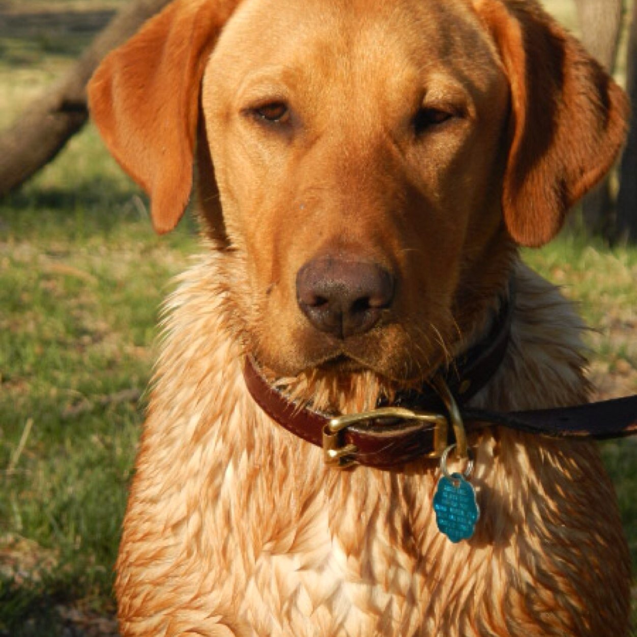 danielb8875's profile picture. 