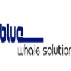 Bluewhale Solutions is a consulting firm for ERP,Web App,Mobile apps, CRM, Health Care, Analytics consulting business.
