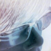 Frank (@djashpnk) 's Twitter Profile