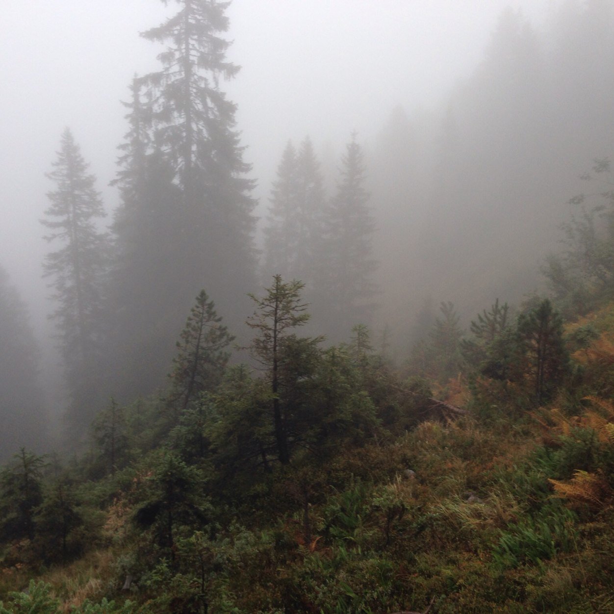 BalmerLukas's profile picture. 