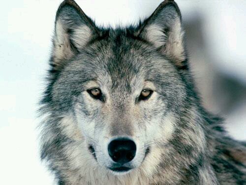 Faith, Family & Friends. Free spirit at heart.