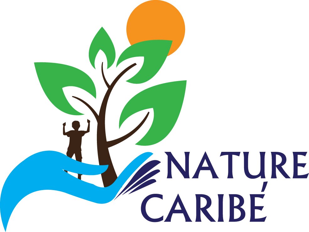 naturecaribe's profile picture. A network of Caribbean environmental             groups working on sustainable livelihoods, biodiversity conservation and environmental governance