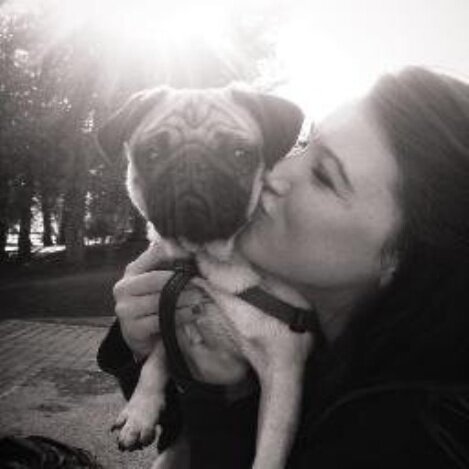 domenicjt's profile picture. representing the greatst show o tv