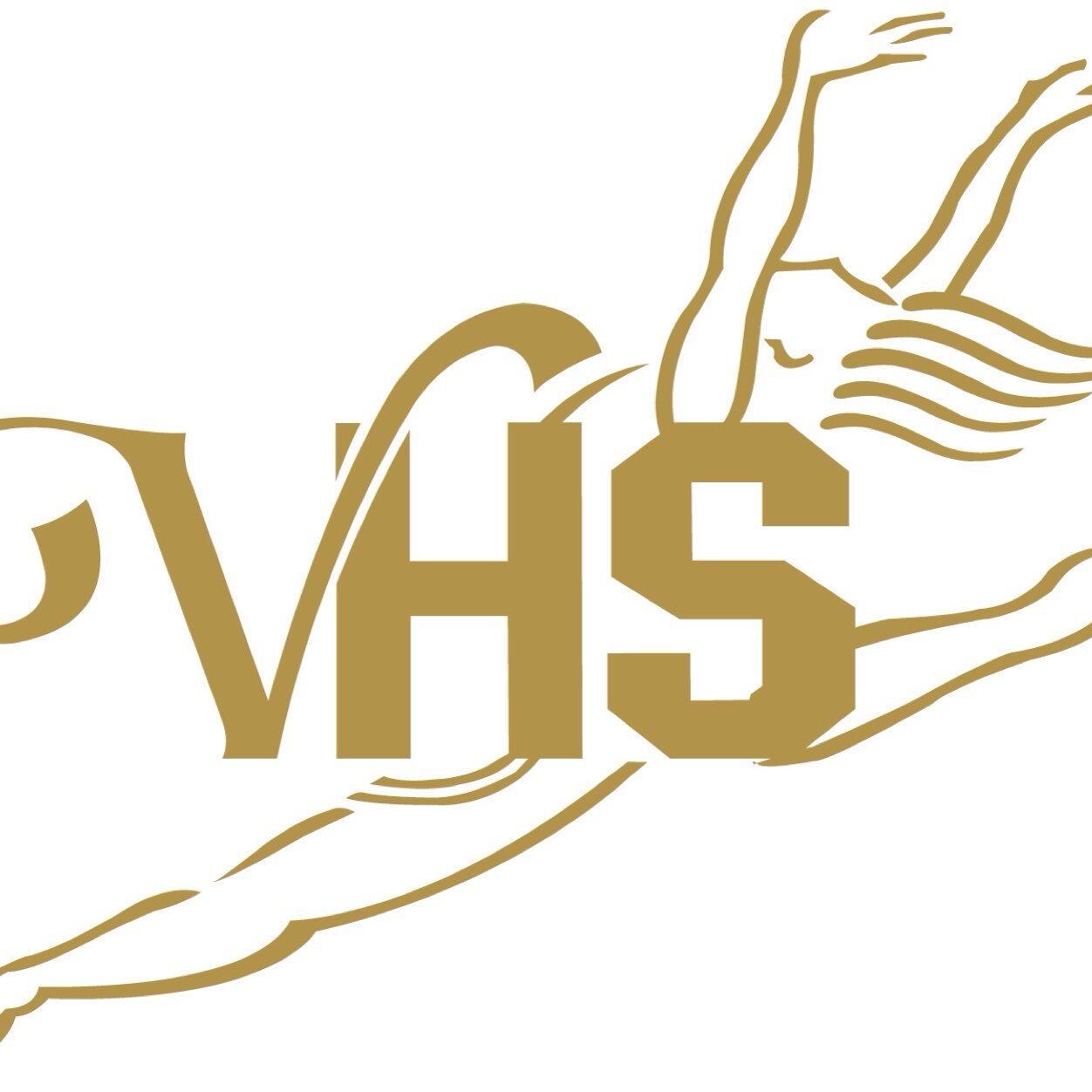 The Golden Girl Spirit Squad is a competitive dance team at The Villages High School. 2025 World School and Performance Cheer High Kick Champions!
