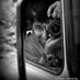 Dhundiraj (@raj348634) Twitter profile photo Dhundiraj (@raj348634) Twitter profile photo