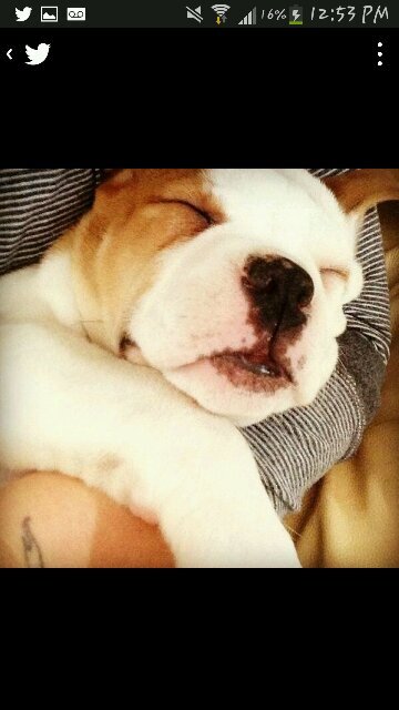 KarmaBieberr1_'s profile picture. just a fan. i love justin and karma♕