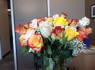 vbrose1's profile picture. 