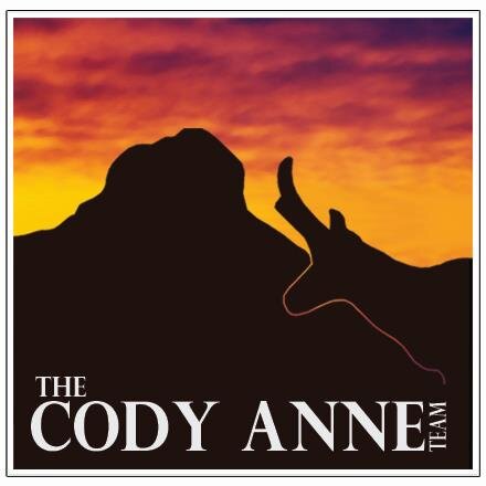 TheCodyAnneTeam's profile picture. in 2015, The CODY ANNE Team was in the top 10 of all agents in the Prescott Area Association of Realtors for the 5th year in a row.