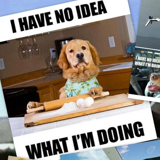 Ignacio_Korosu's profile picture. pa que?