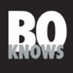 Bo Jackson Dome (@bodomelockport) Twitter profile photo Bo Jackson Dome (@bodomelockport) Twitter profile photo