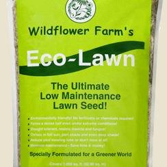 At last!!! A Lawn You Can LIVE With!!