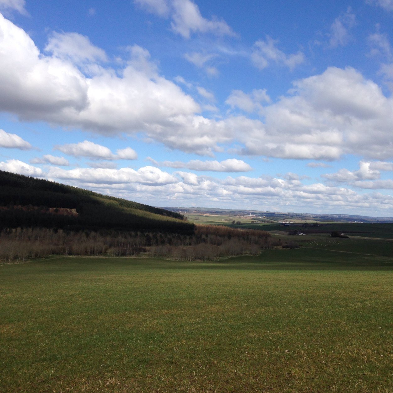 clydegrown's profile picture. New smallholder co-op outside lanark.