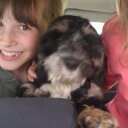 Philippa Mitchell - @Pipcongoblue - Twitter