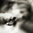 TuDecides__'s profile image