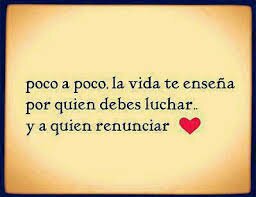 Amo Las Frases