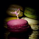 Alberta Crosby - @crosbypu807 - Twitter