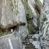 AsAc (@asturiasactiva2) 's Twitter Profile