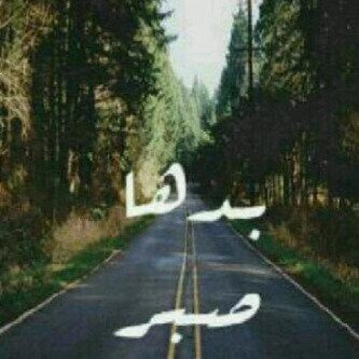 ♡ سوف ياتي يوم لا اكون معكم، و سوف تدخلون لتقراوا ما كتبت، فان وجدتم ما يؤجرني انشروه، و ان وجدتم ما يؤثمني اتركوه ♡ب المناسبه عاشقه للكيان الازرق^^*..
