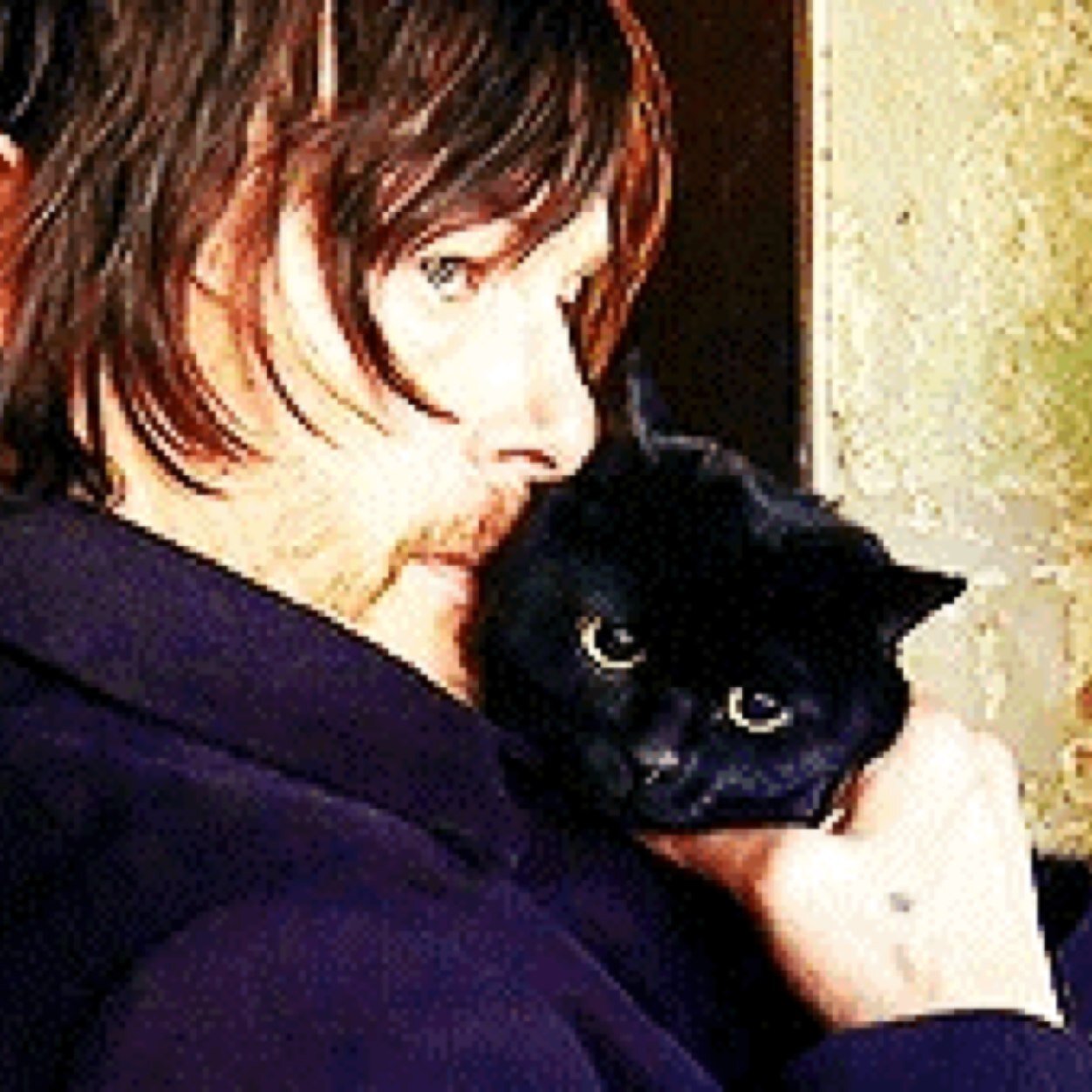 Norman Reedus, The Walking Dead, Boondock Saints