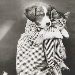 klginther's profile picture. Wrangler of Clowns.  Maker of Things. Writer of Stuff.