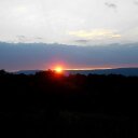 miranda strait - @farmchick40 - Twitter