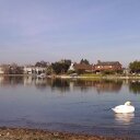 Gary Ling - @garyokitwit - Twitter