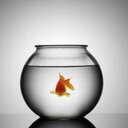 Cloud Cuckoo - @ElisvenElisa - Twitter