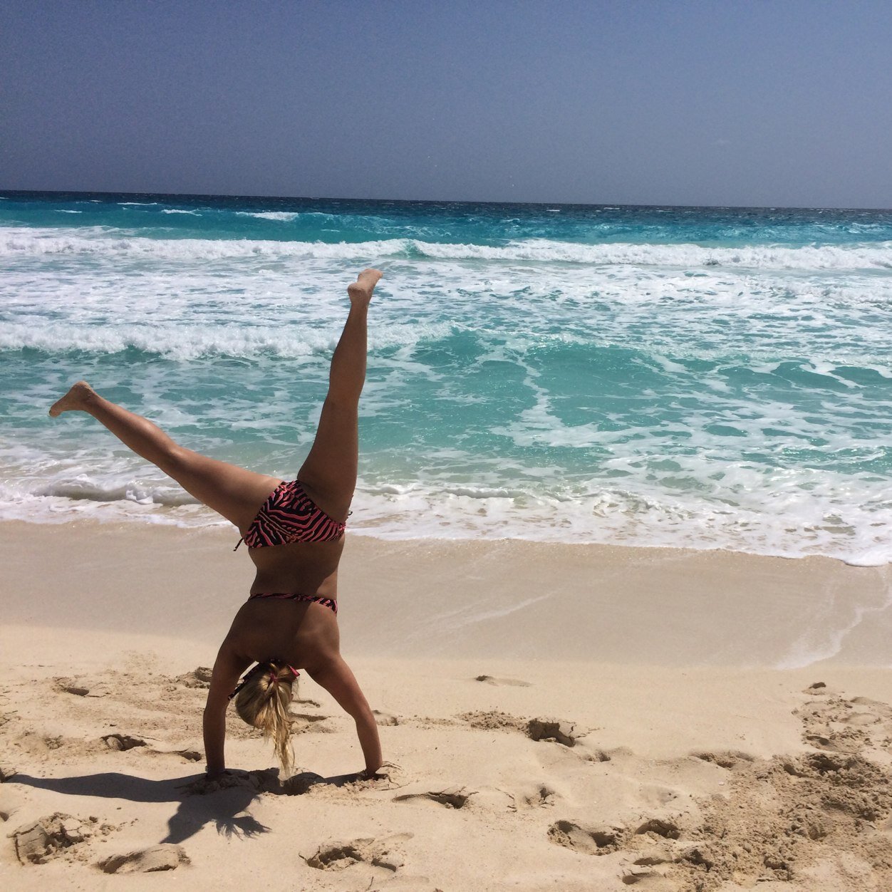 arielletorbeck's profile picture. 