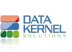 datakernel's profile picture. Data Kernel solutions develops innovative solutions; highly reliable in field of data matching.