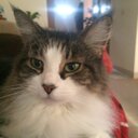 Bonnie Sullivan - @BonBon77_ - Twitter