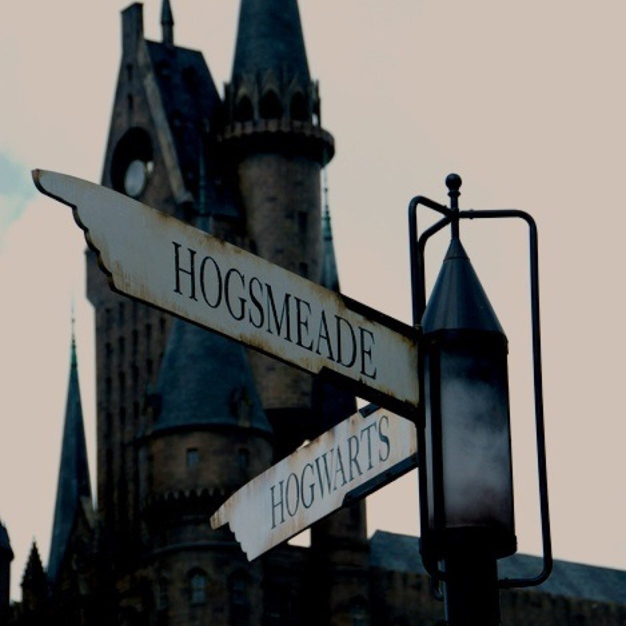 tumblr_pullover's profile picture. 