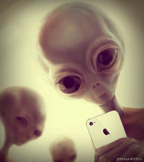 PiePilips's profile picture. Aríba Aríba muchachos.