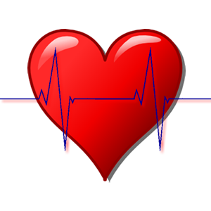 UK Ambulance Service First Responders News & information for the public, for individuals and CFR groups in the UK.
CFR GROUP? We will list your group FREE!