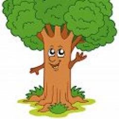 RealTreeFacts's profile picture. Just an everyday tree, livin' the tree life. This is straight tree humor for trees by trees.