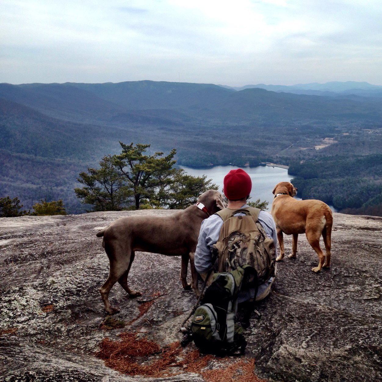 sc_collins's profile picture. 