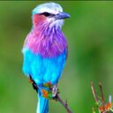 Nova Wright - @novaw89 - Twitter