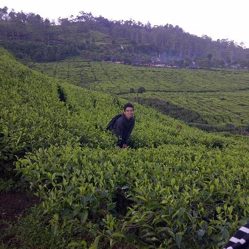 Lahir @ Sumedang | Cicing @ Cianjur | Kuliah @ Bandung | BB Contact : 746F9362 | Aktivis Kaskus | Kahayang Mah Kitu Ngan Nu Aya Kieu | Nya Alhamdulillah We