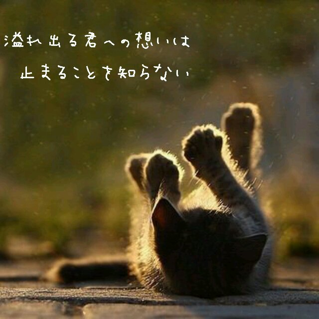 とどさん がいこつさん Todogaikotsu Twitter