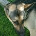 Steve Ourada (@1956sdo) Twitter profile photo
