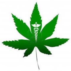 6309 Van Nuys Blvd. Van Nuys, CA
Open everyday 10am-10pm