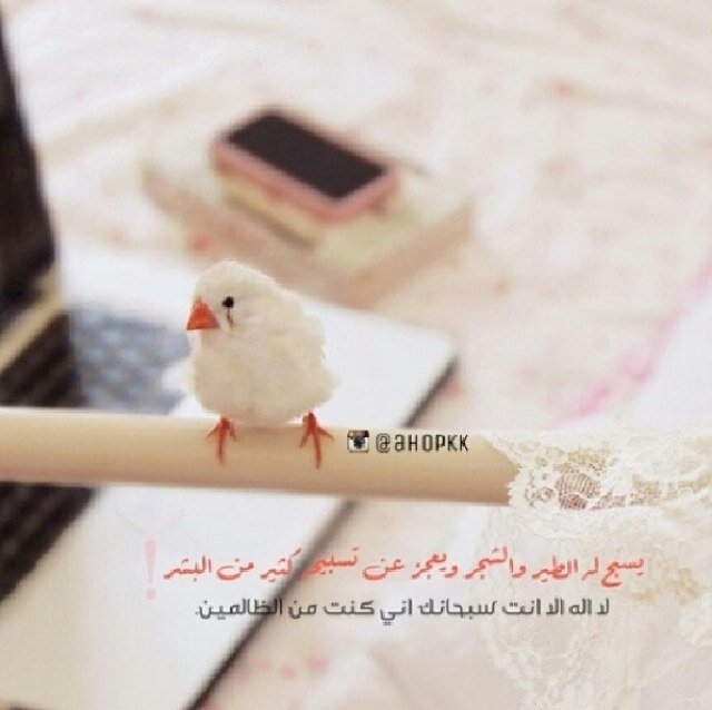 lam5m's profile picture. 