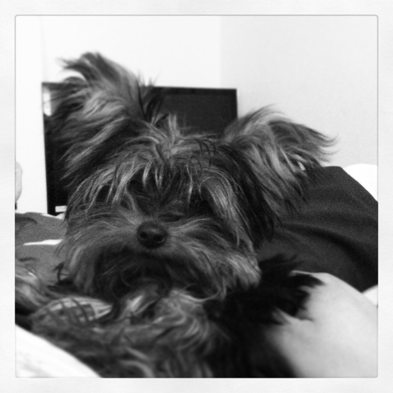 HARRYLAGOS's profile picture. 