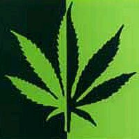 MandofuYerba's profile picture. TetraHidroCannabinol                                  THC~OCB